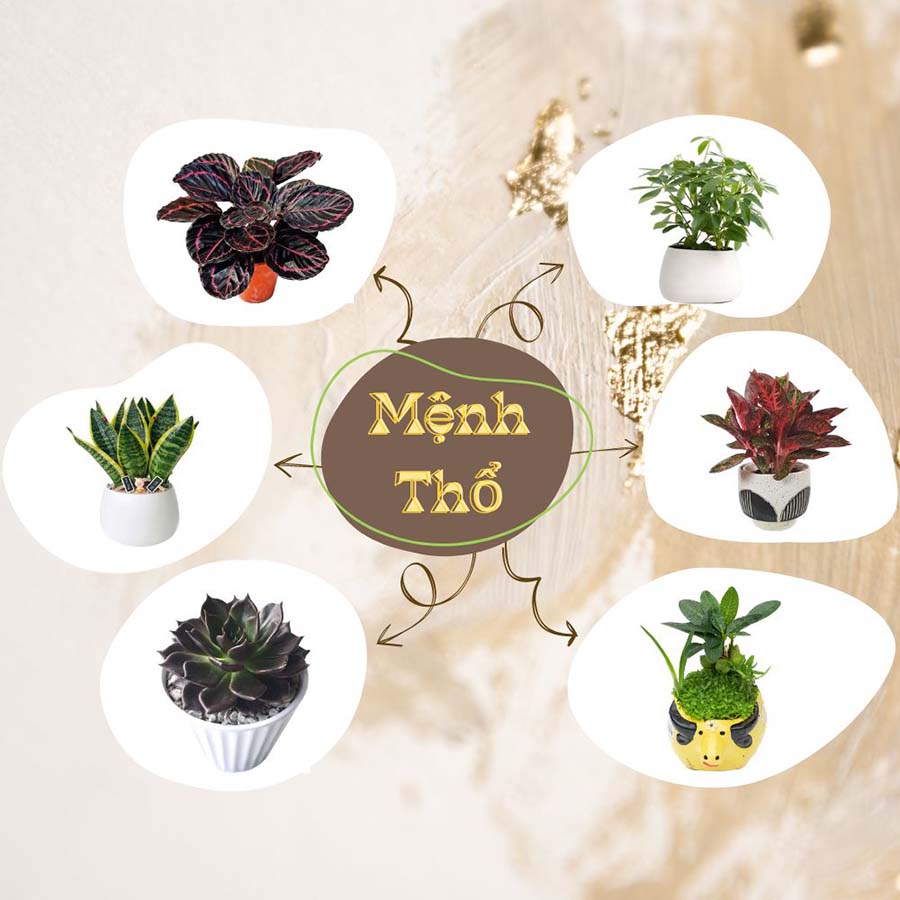 7. Kết luận tích cực – Gợi ý ưu tiên & lời khuyên