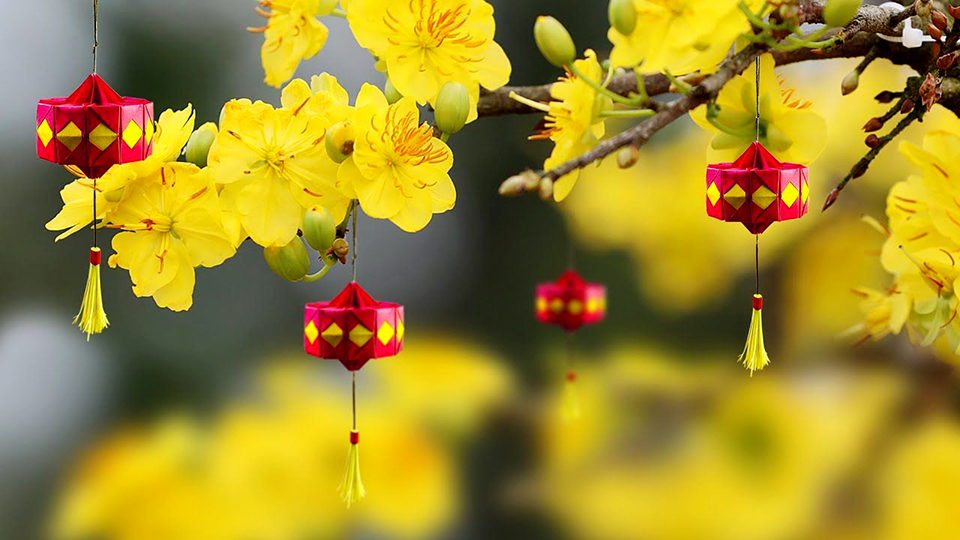 Trang trí Tết với lồng đèn handmade bằng giấy